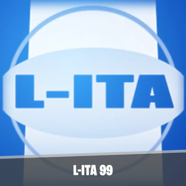 fortnite L-ita 99 image small size